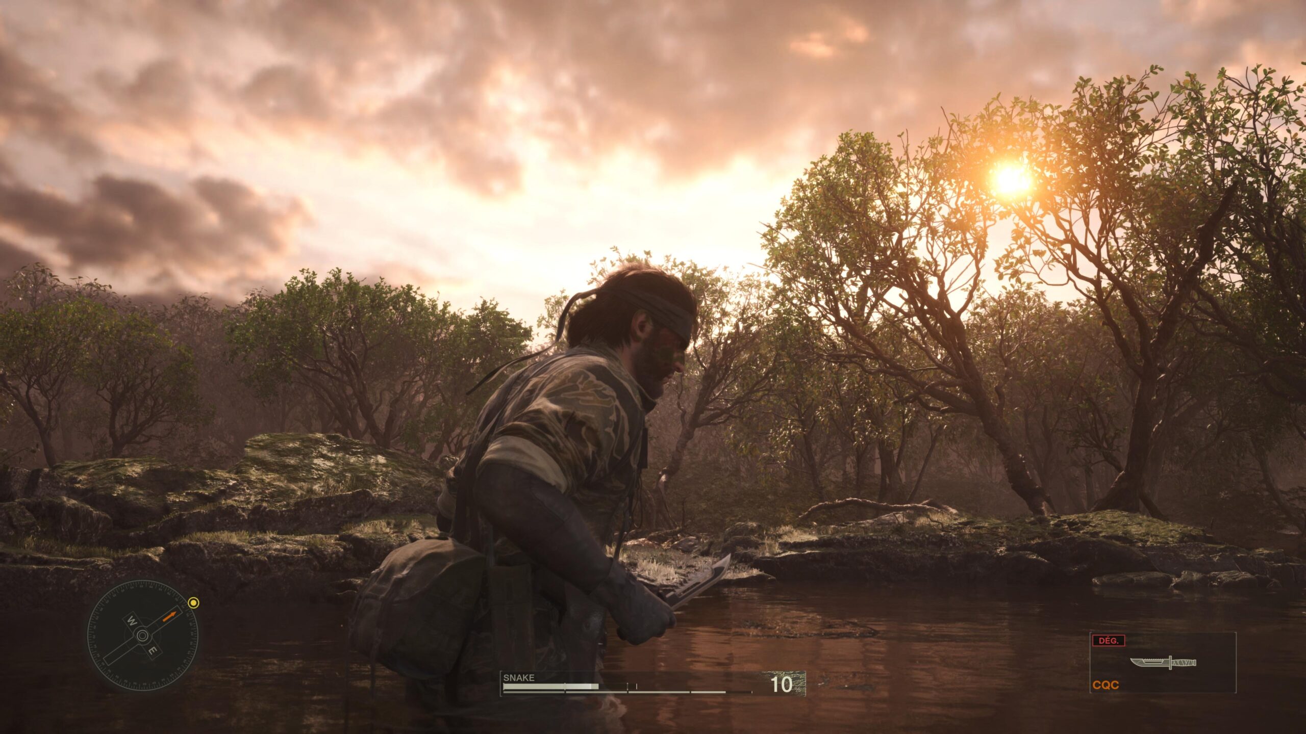 Metal Gear Solid Delta
